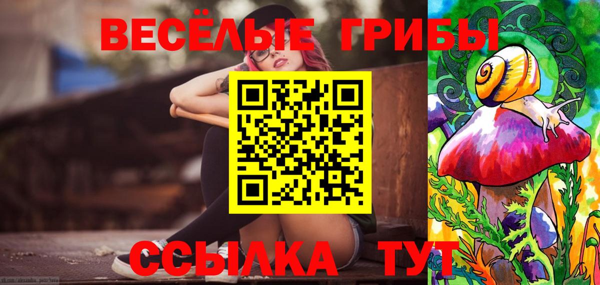 Псилоцибиновые грибы Psilocybe  Вход с VPN  Назрань  Псилоцибиновые грибы Psilocybe 